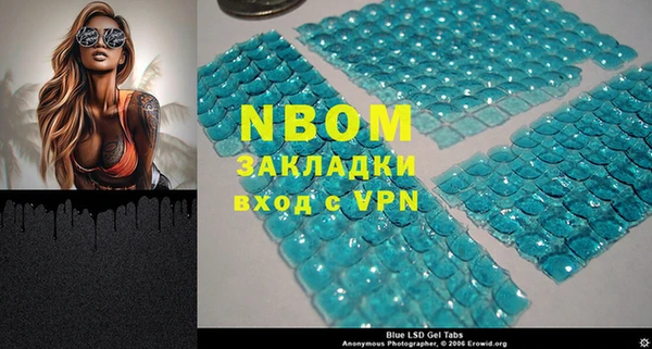 мдпв Инта