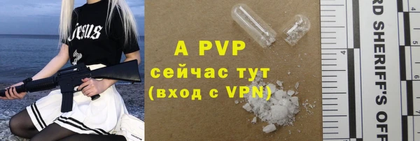 мдпв Инта