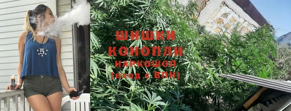 мдпв Инта