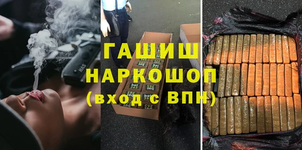 мдпв Инта
