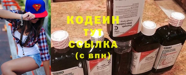 мдпв Инта